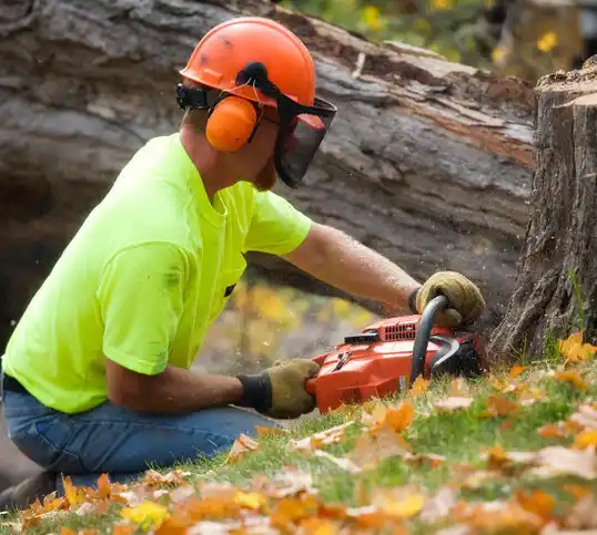 tree services Nebraska